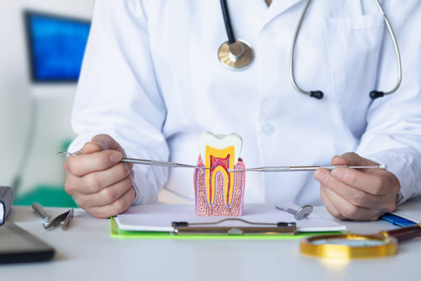 Best Emergency Treatment for Jaw Pain or Injury in Pemberville, OH